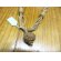 画像2: エスニックネックレスインド製自然木ビーズエスニックアクセサリー (2)